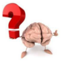 Brain_Frage